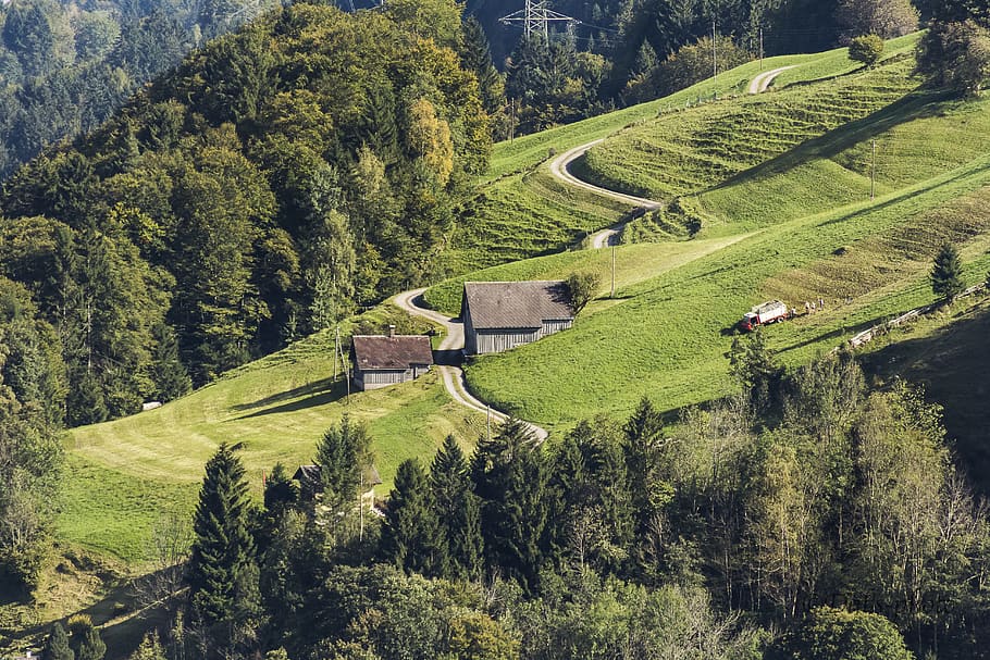 huts, fields, work, valleys, switzerland, mountains, tree, plant HD wallpaper