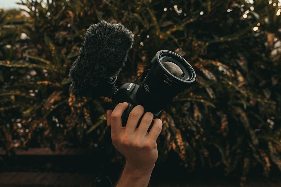 person holding video camera, one person, human hand, real people HD wallpaper