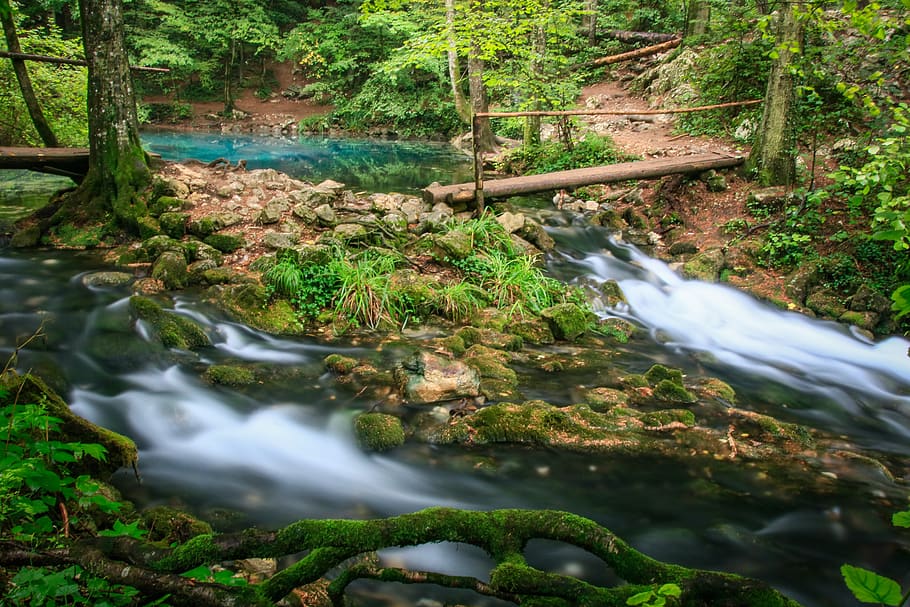 river wallpaper, water, tree, plant, long exposure, motion, forest HD wallpaper