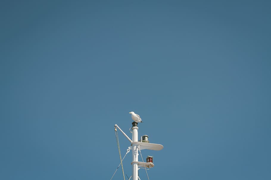 sea, cloud, sky, wind, ship, seagull, vehicle, mast, flight HD wallpaper