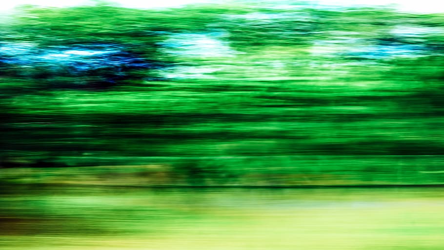 plant, vegetation, outdoors, tree, nature, land, blur, windows HD wallpaper