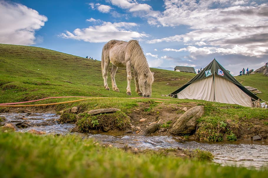 White and Black Tent on Green Grass Field, clouds, daytime, flow HD wallpaper