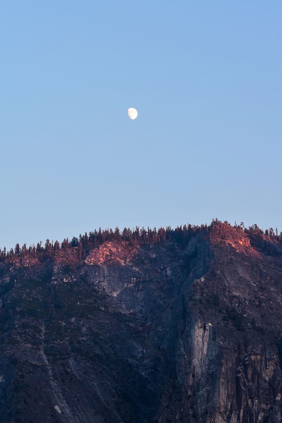 trees on hills, sky, moon, tranquil scene, beauty in nature, scenics - nature HD wallpaper