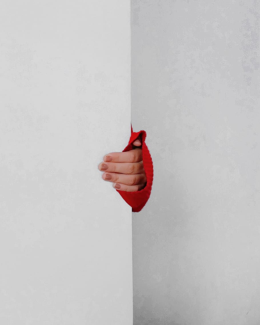 Person's Hand , fingers, holding, indoors, human hand, human body part HD wallpaper