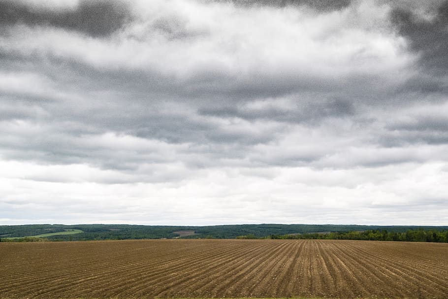 clouds, field, landscape, sky, nature, rural, agriculture, countryside HD wallpaper