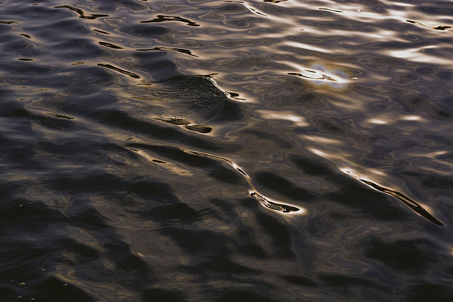 waves, sea, river, sun, sunlight, sunset, sunshine, vsco, water HD wallpaper