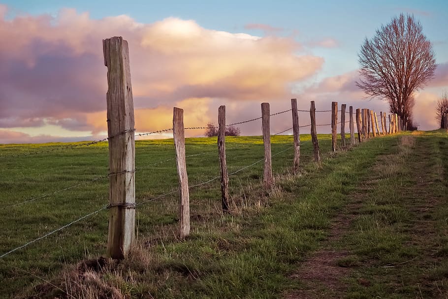 landscape, nature, clouds, tree, rest, sky, scenic, sunset HD wallpaper