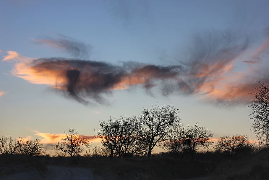 clouds, colors, trees, sky, sunset, nature, landscape, cloud - sky HD wallpaper