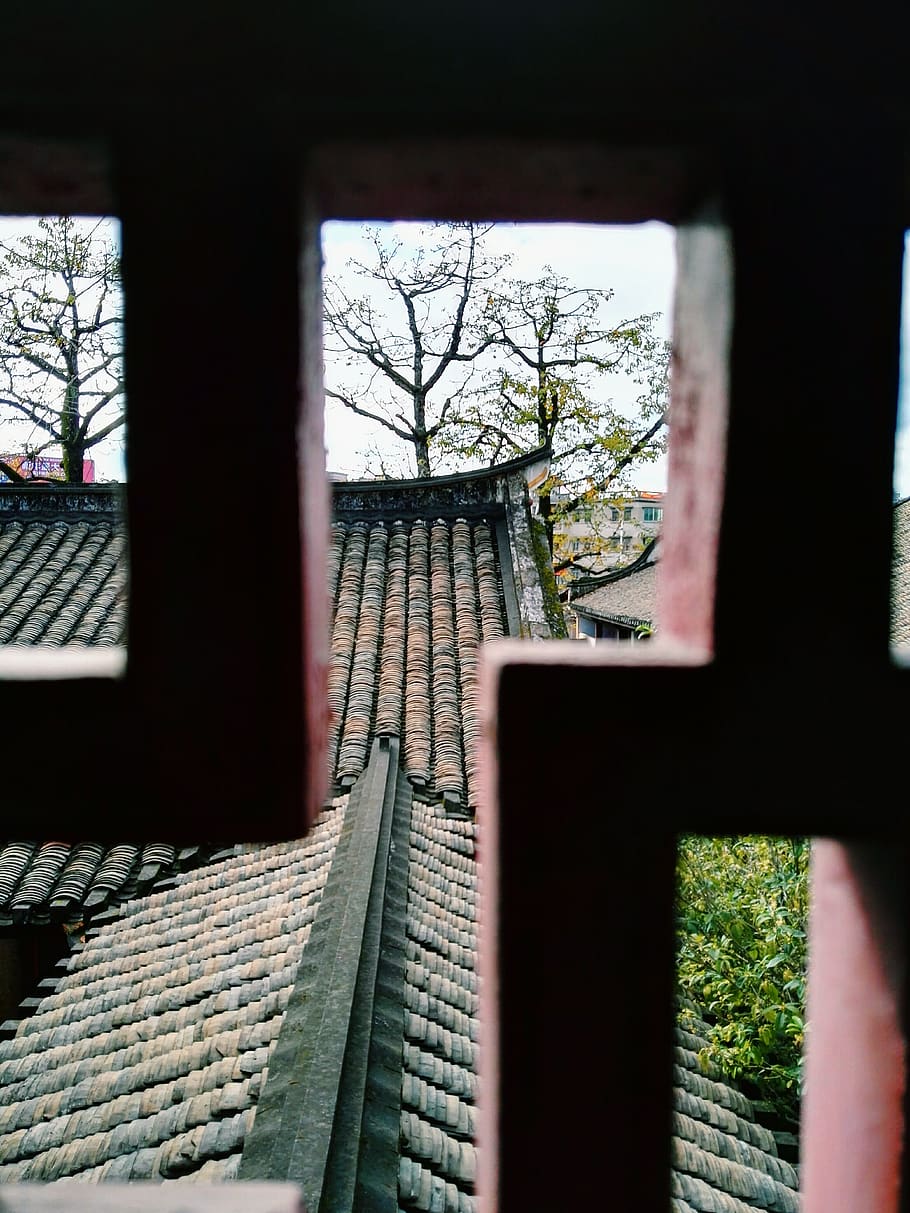 china, meizhou, tree, architecture, plant, built structure HD wallpaper