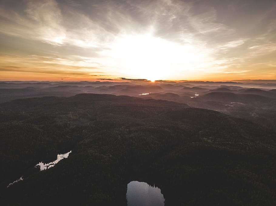 Aerial View Photography of Trees during Golden Hour, backlit HD wallpaper