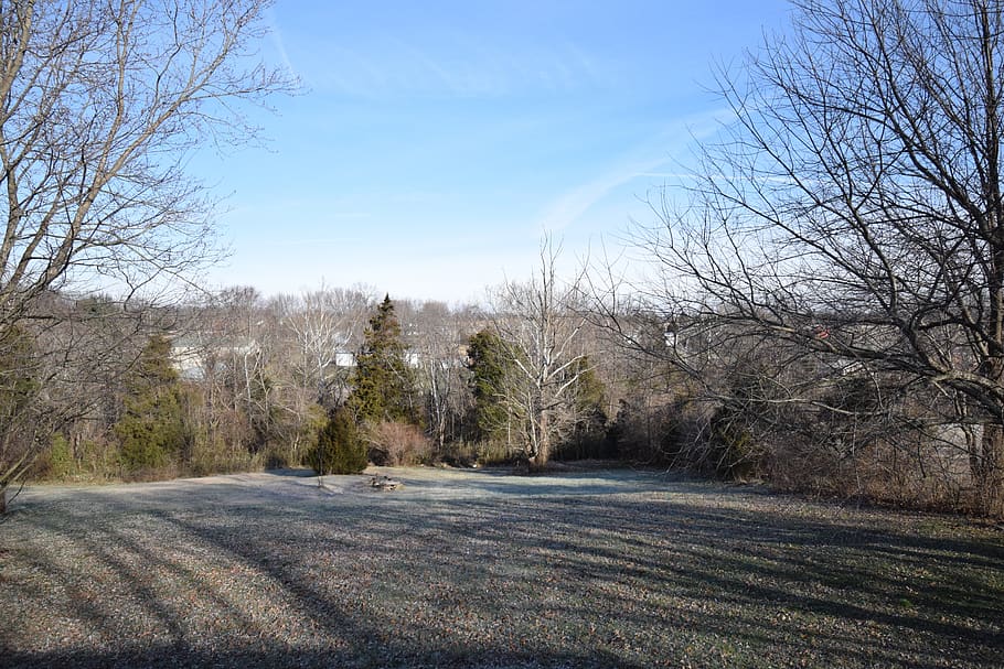 view, backyard, winter, landscape, blue, scene, tree, outdoor HD wallpaper