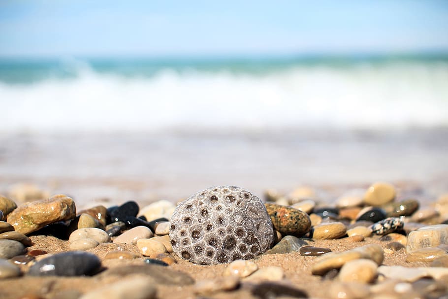 Gray and Brown Pebbles Near Sea, beach, beauty, close-up, lake michigan, HD wallpaper