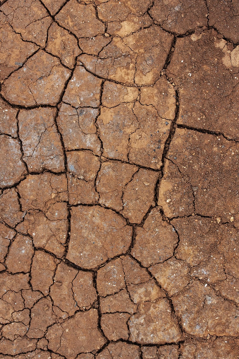 dry, terry, cracked, brown, water, drought, climate, hot, summer HD wallpaper