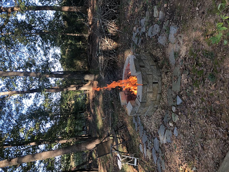 fire, ground, flame, bonfire, tree, plant, woods, firepit, road HD wallpaper