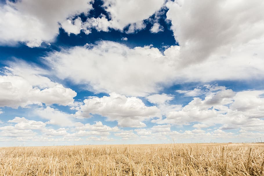 regina, canada, field, sky, flat, saskatchewan, clouds, cloud - sky HD wallpaper