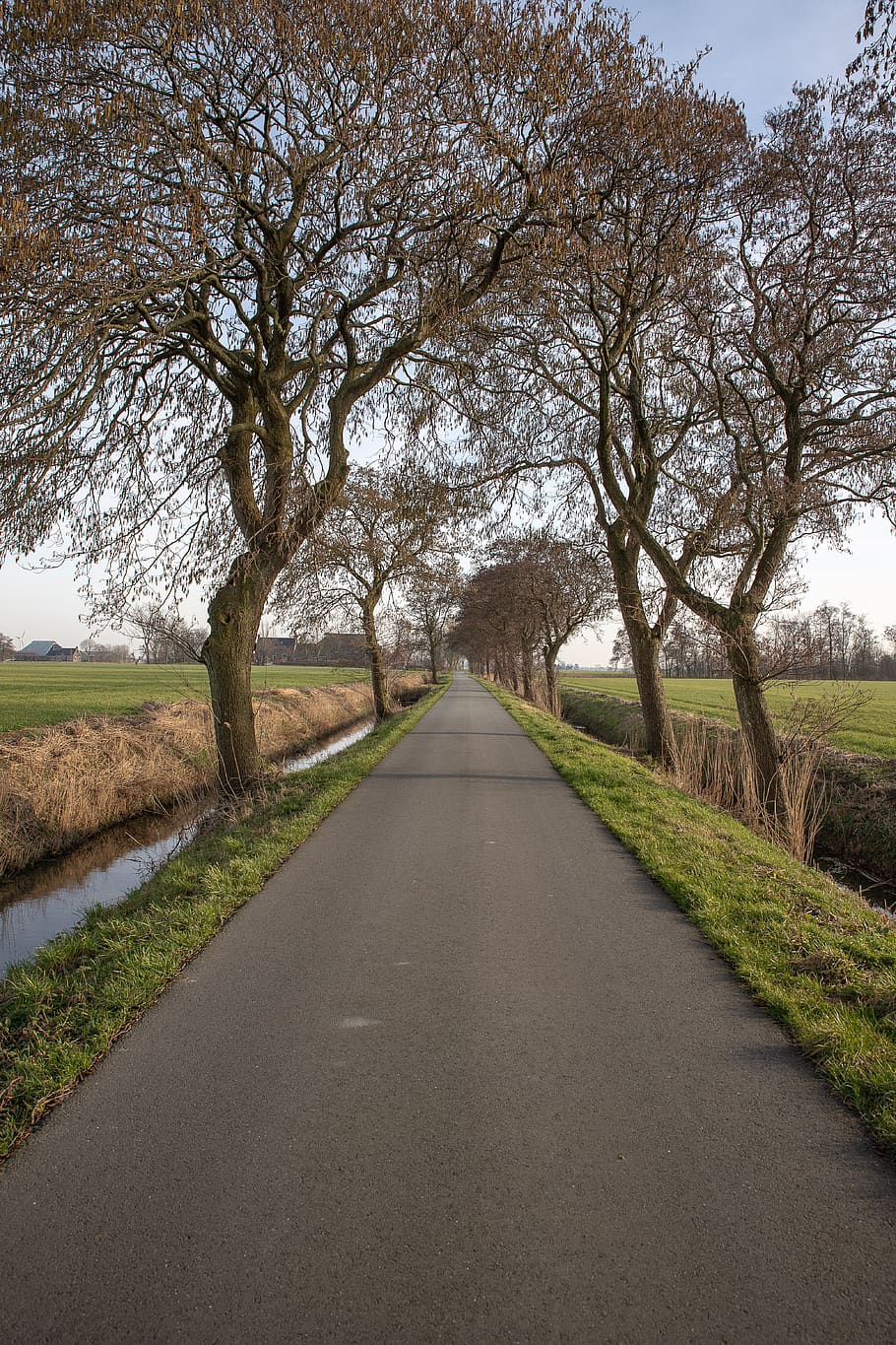 road, landscape, trees, buitenweg, path, nature, hiking, winter HD wallpaper