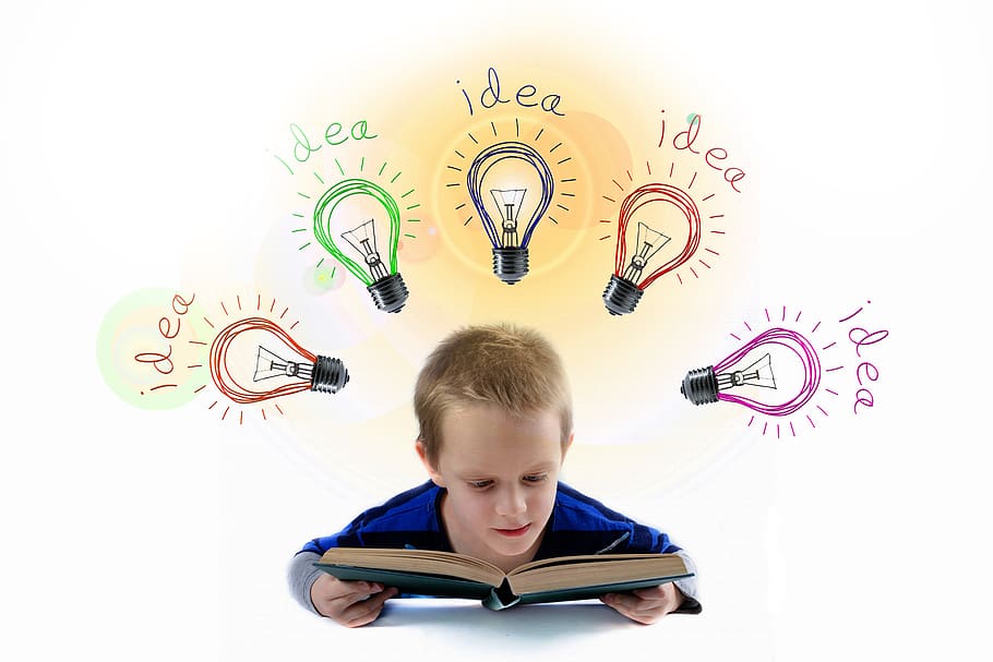 school, students, read, light bulb, idea, think, education