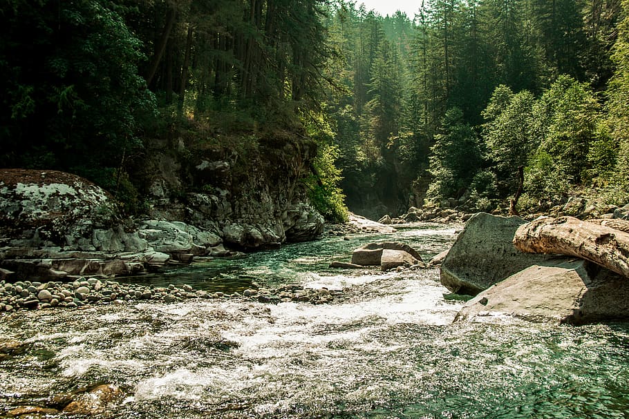 canada, hope, othello tunnels, rapids, river, trees, summer HD wallpaper