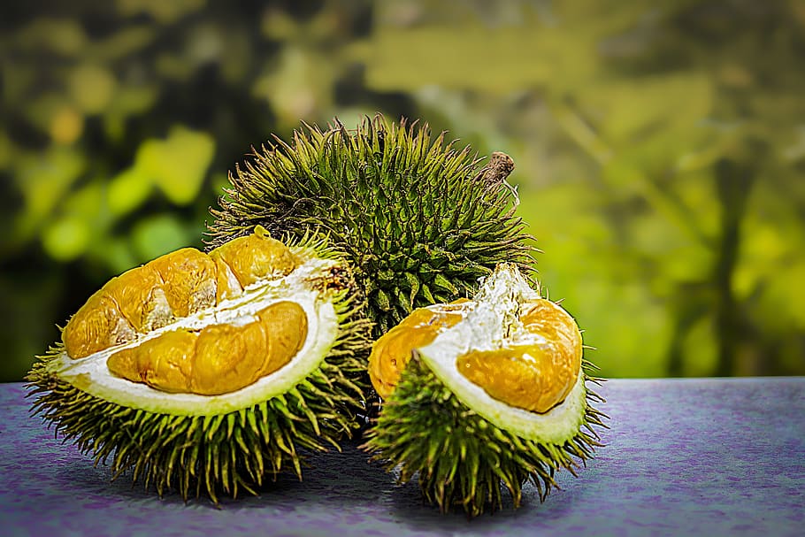 durian, fruit, tropical, malaysia, smelly, thorn, agriculture