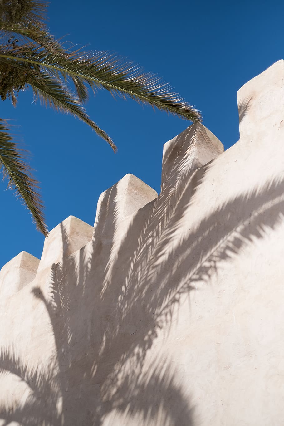 white concrete wall during daytime, plant, food, vegetable, grain HD wallpaper