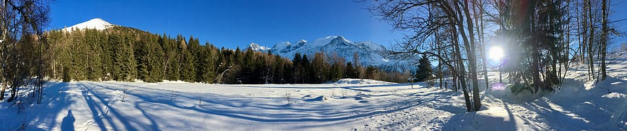 snow, cold temperature, winter, tree, plant, nature, scenics - nature HD wallpaper