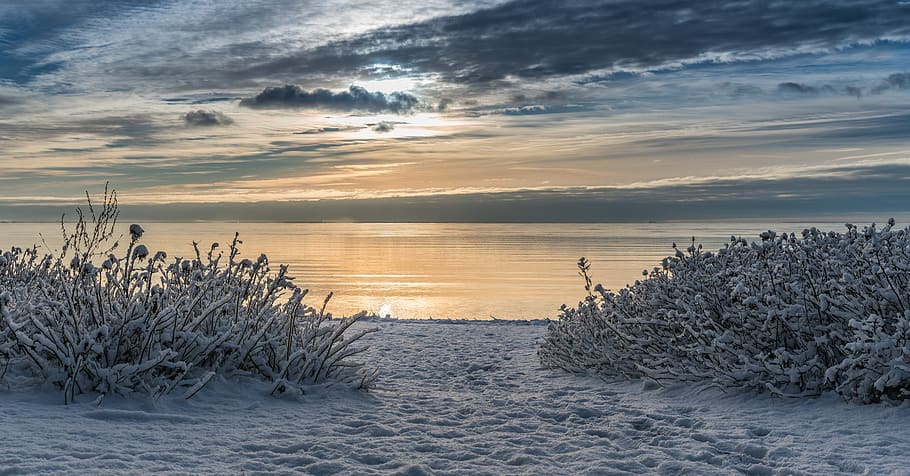 Seashore Photo, beach, clouds, cold, dawn, footprints, zing, frost HD wallpaper