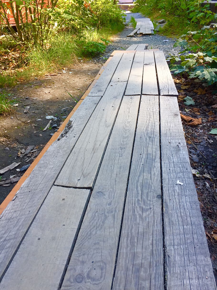 norway, bergen, path, wood - material, plant, day, footpath HD wallpaper