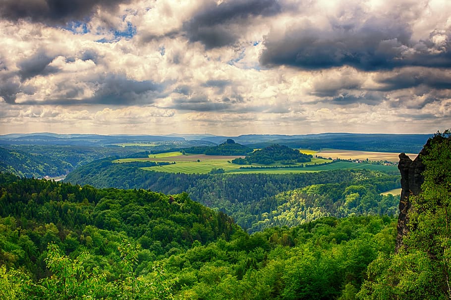 Field of Trees on Mountain, clouds, forest, idyllic, nature, scenic HD wallpaper