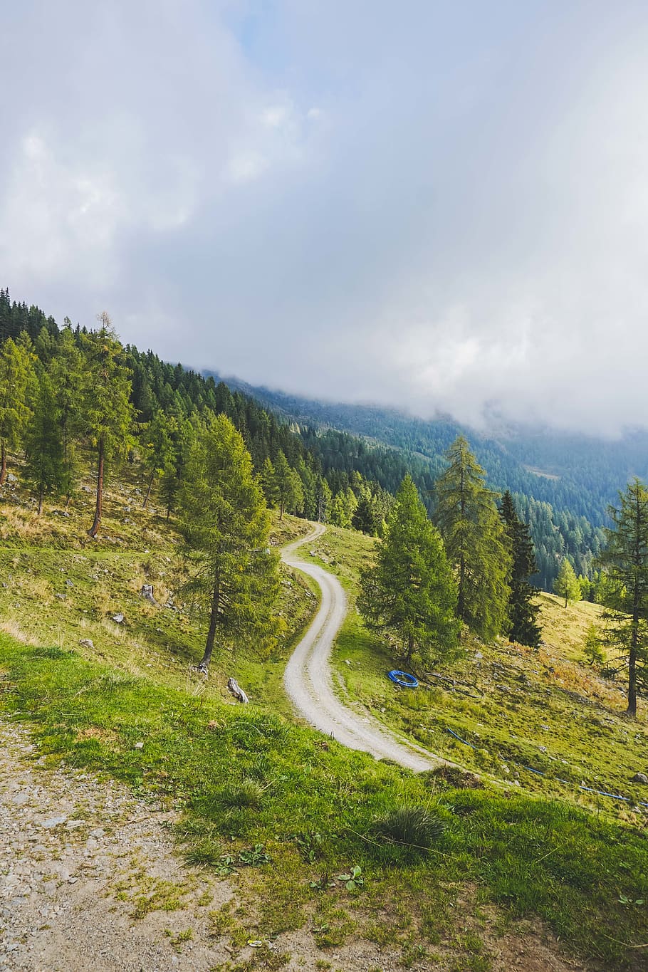 austria, carinthia, plant, road, cloud - sky, green color, tree HD wallpaper