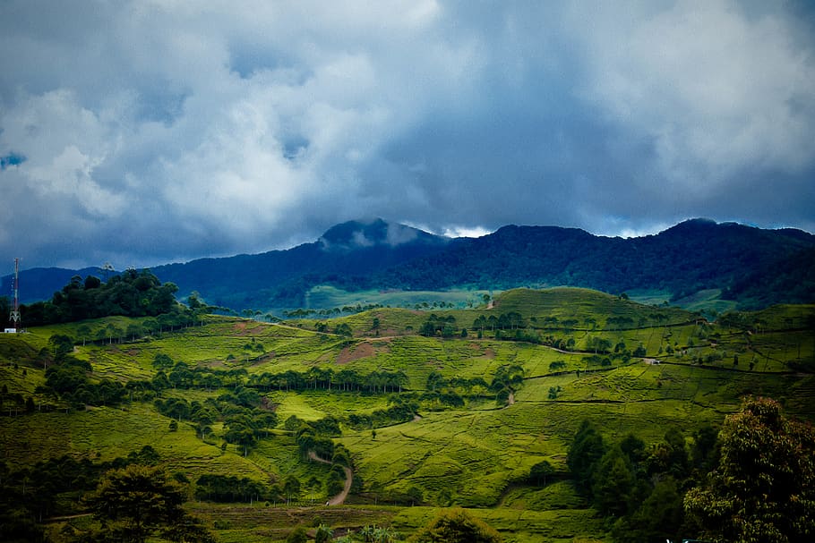 hill, mountain, green, cold, cloud - sky, environment, landscape HD wallpaper