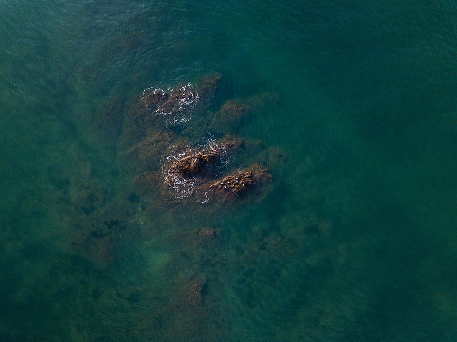 france, mesquer, quimiac, atlantic, brittany, rock, birds, water HD wallpaper