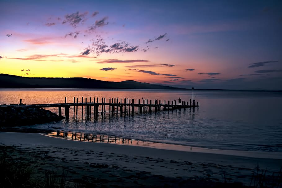Silhouette of Seadock on Body of Water during Sunset, backlit HD wallpaper