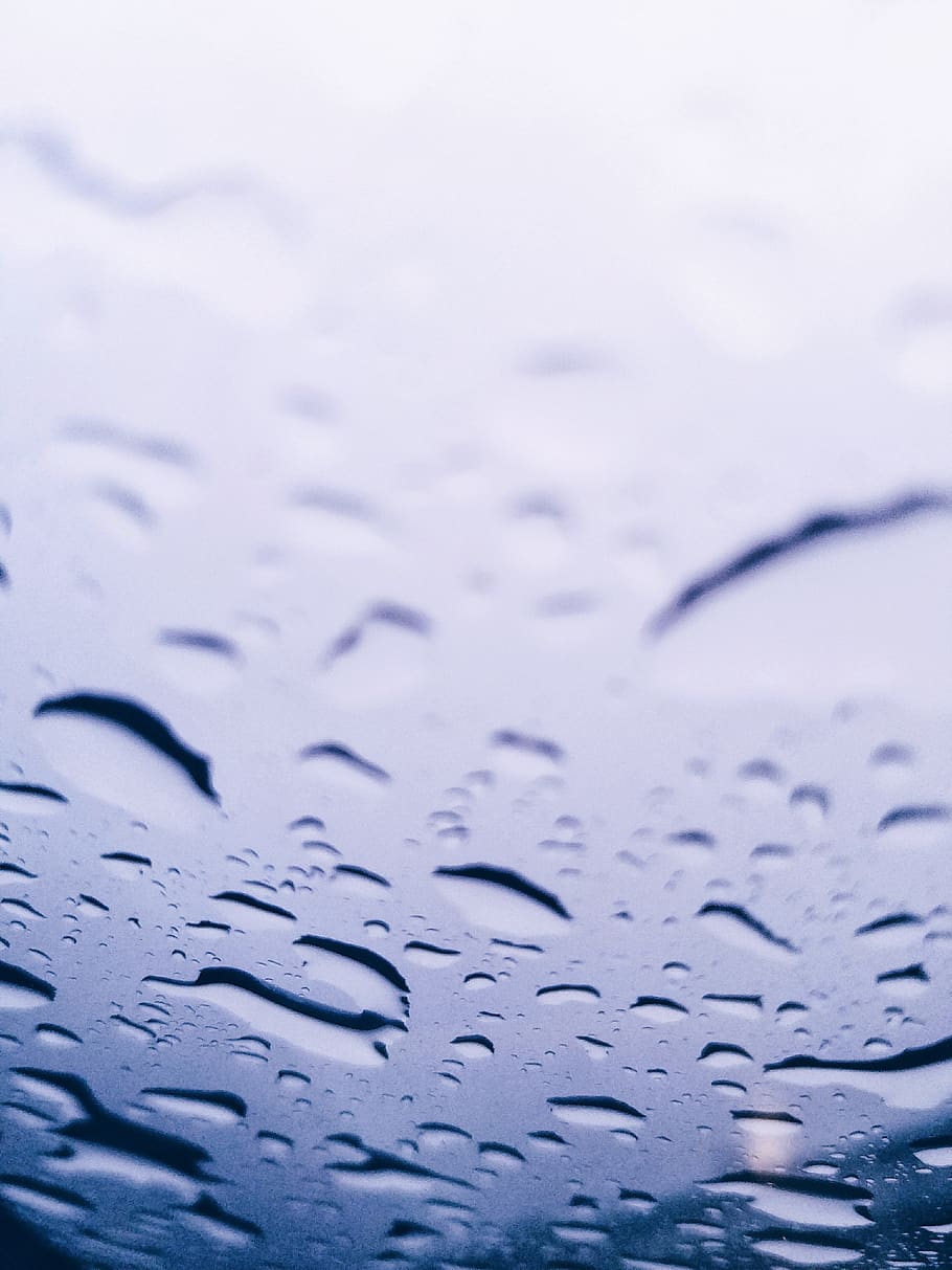 rain, rain drop, raining, wet, water, no people, nature, close-up HD wallpaper