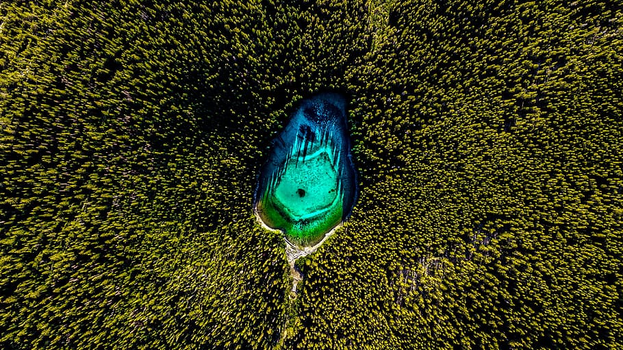 Top View Photo of Lake Surrounded By Trees, bird's eye view, drone photography