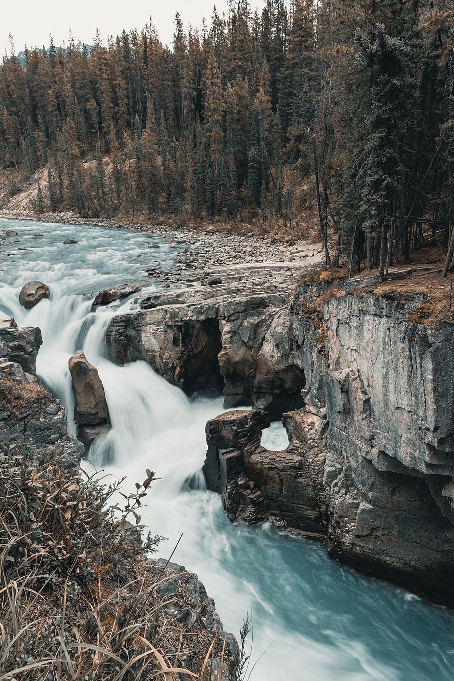 Time Lapse Photo of Flowing River, daylight, environment, forest HD wallpaper