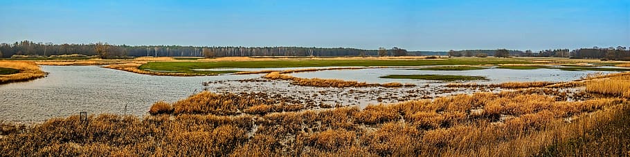 panorama, river landscape, flood, waters, riverbed, reed, nature HD wallpaper
