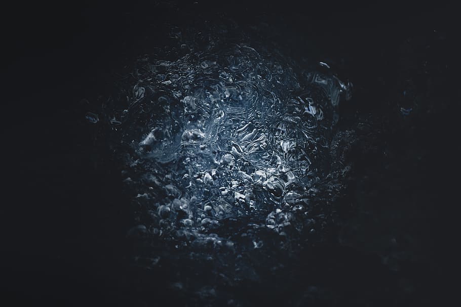 no people, close-up, water, indoors, nature, black background HD wallpaper
