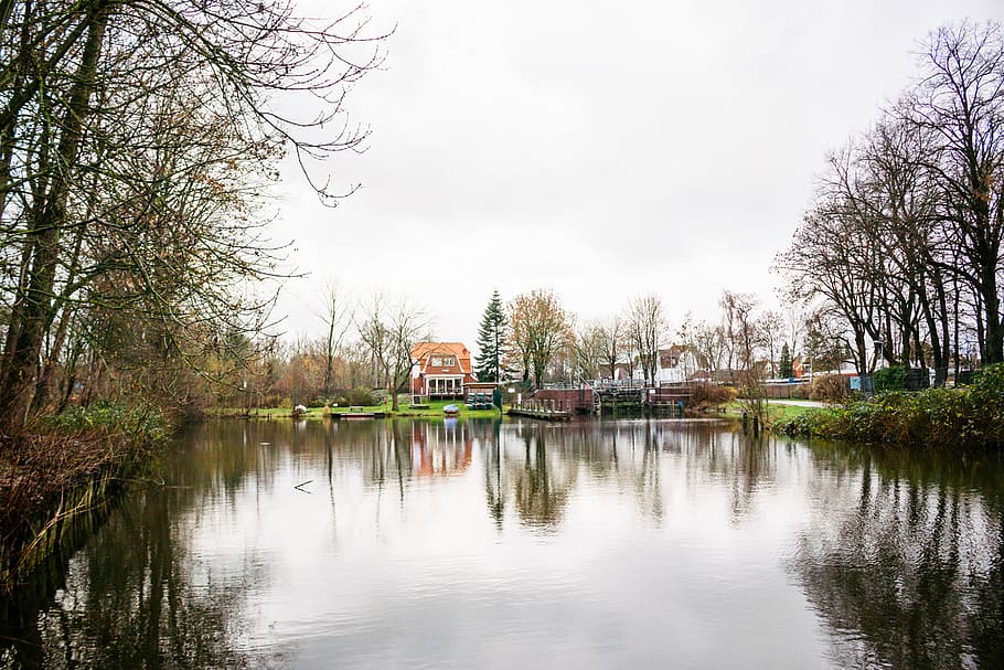 trees reflecting on calm water, outdoors, pond, plant, nature HD wallpaper