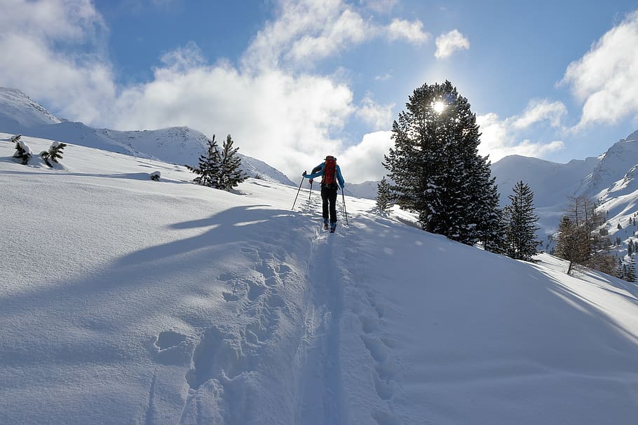 ski, winter, sun, snow, fir tree, backcountry skiiing, mountains HD wallpaper