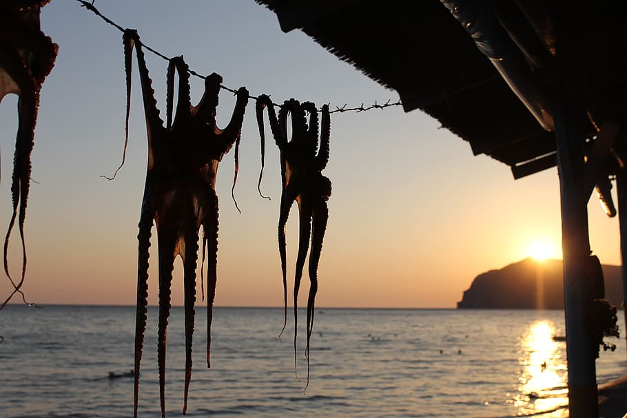 greece, eresos, summer, octapus, island, sky, sunset, water HD wallpaper