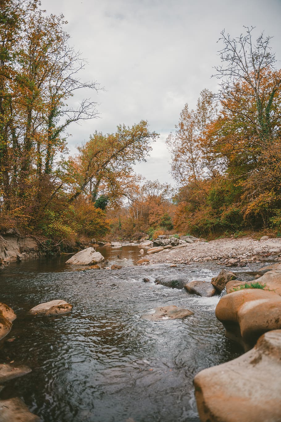 river between trees, creek, outdoors, water, stream, rock, switzerland HD wallpaper
