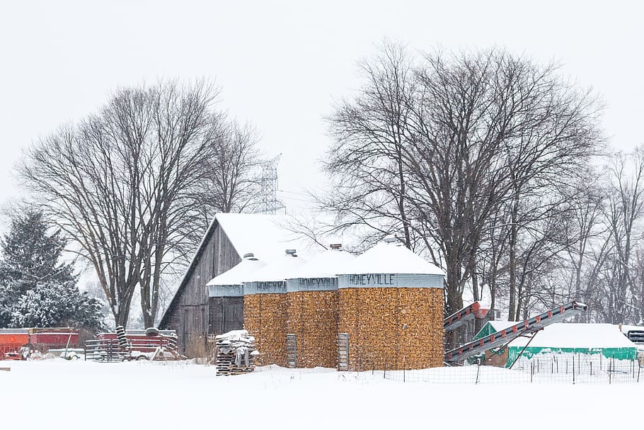 trees, corn, farm, country, michigan, snow, corncrib, winter HD wallpaper