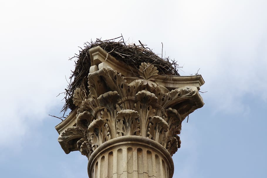 spain, león, nest, sky, sculpture, art and craft, statue, architecture HD wallpaper