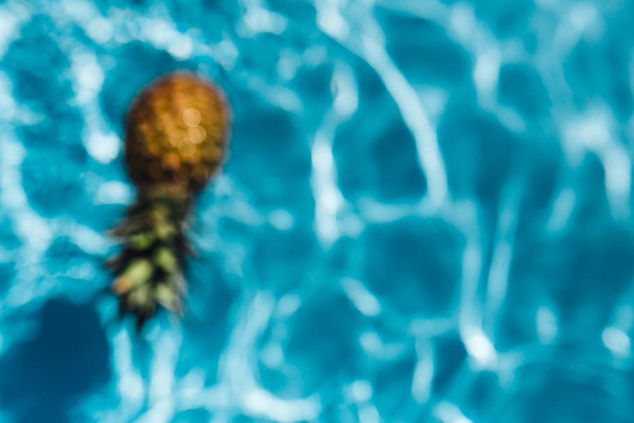 Pineapple in a swimming pool, day, summer, water, copyspace, fruits HD wallpaper