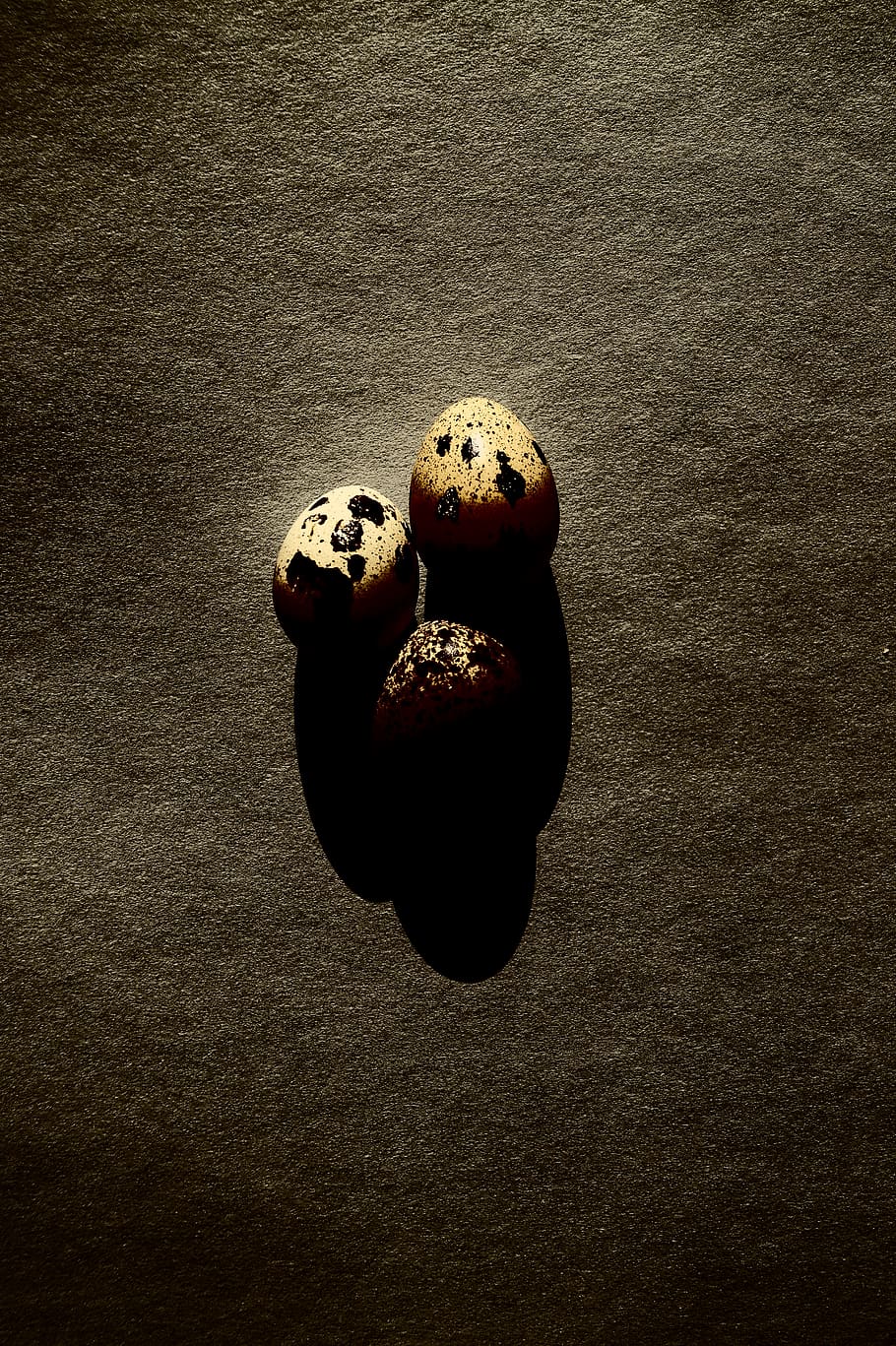 spain, valencia, no people, still life, food, close-up, high angle view HD wallpaper