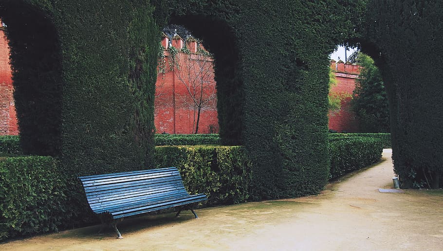 courtyard, bench, shrubs, path, walkway, plant, seat, tree HD wallpaper