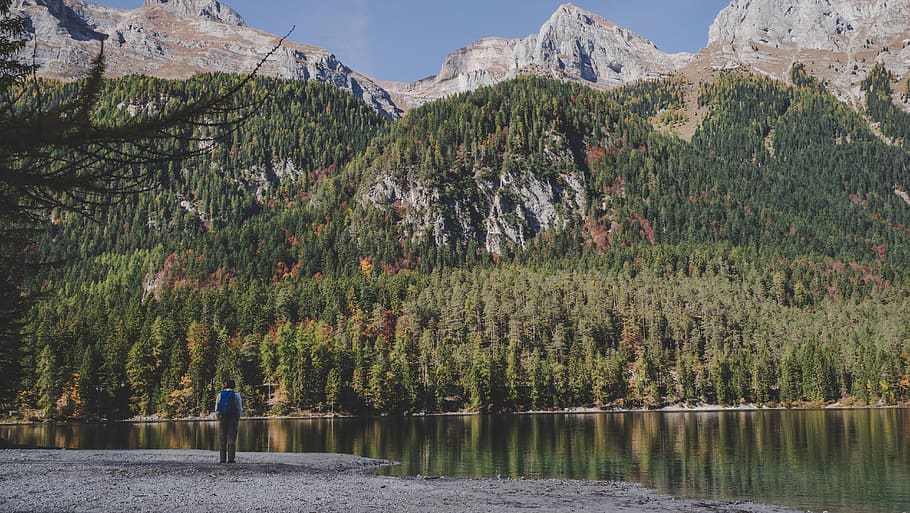 Person Standing In Front Of Body Of Water, daylight, forest, landscape HD wallpaper