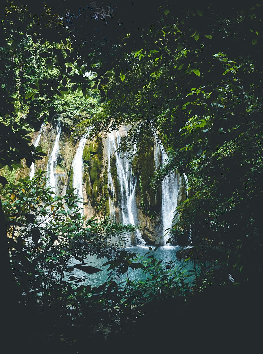 trees, forest, water, fall, waterfalls, nature, beauty, earth HD wallpaper