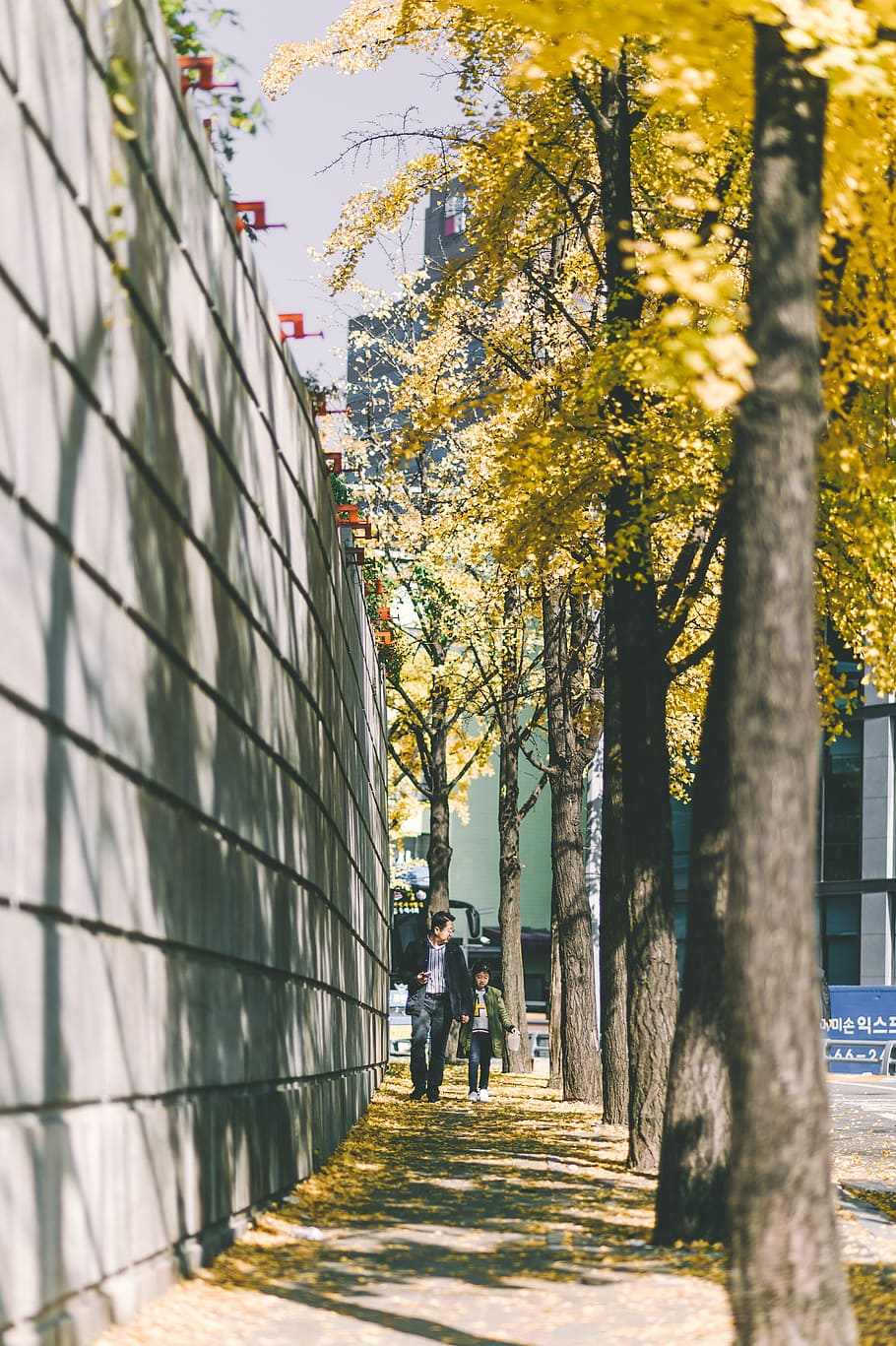 man and children walking beside gray wall, tree, plant, architecture HD wallpaper