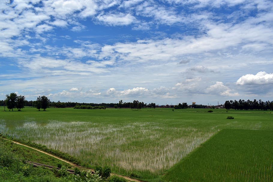 File:Rajendra Nagar Bareilly Skyline.jpg - Wikipedia